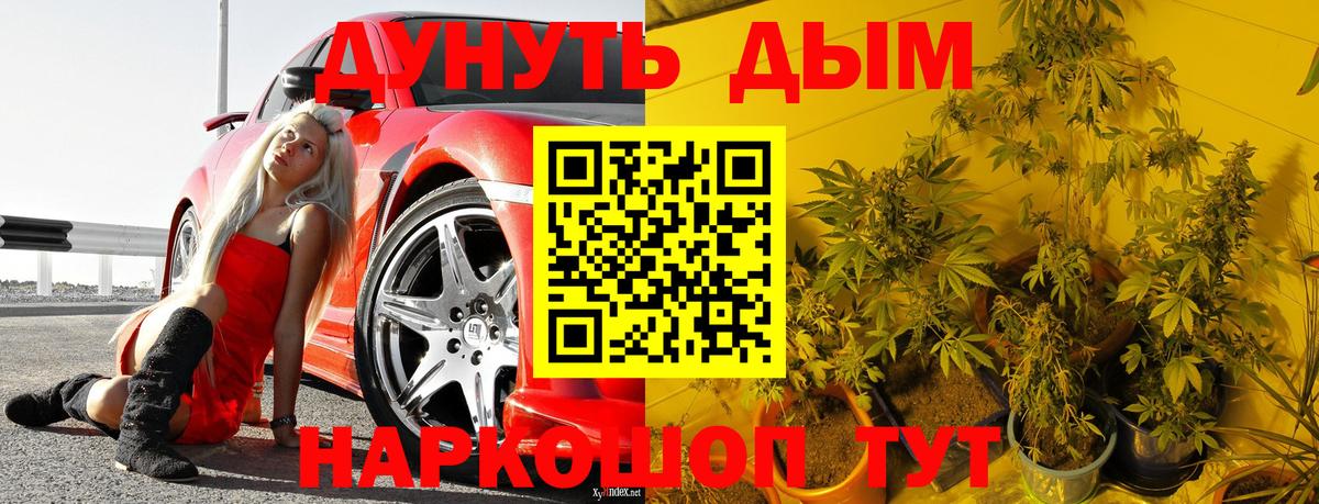 Шишки марихуана марихуана  МАРИХУАНА MAZAR  Ноябрьск  Вход с VPN  Каннабис индика 